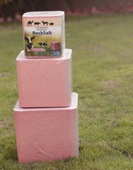 Himalayan Animal Licking Pink Salt  Salt Lick